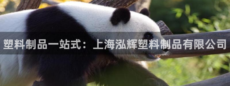 古天樂(lè)和太陽(yáng)集團(tuán)誰(shuí)厲害：塑料制品一站式：上海泓輝塑料制品有限