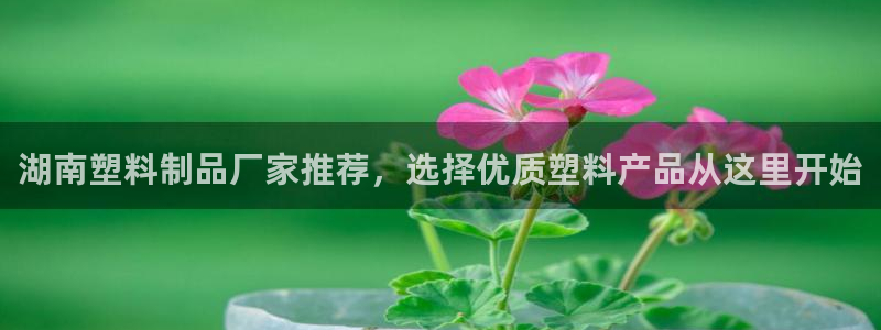 太陽(yáng)成集團(tuán)古天樂(lè)：湖南塑料制品廠家推薦，選擇優(yōu)質(zhì)塑料產(chǎn)品從這